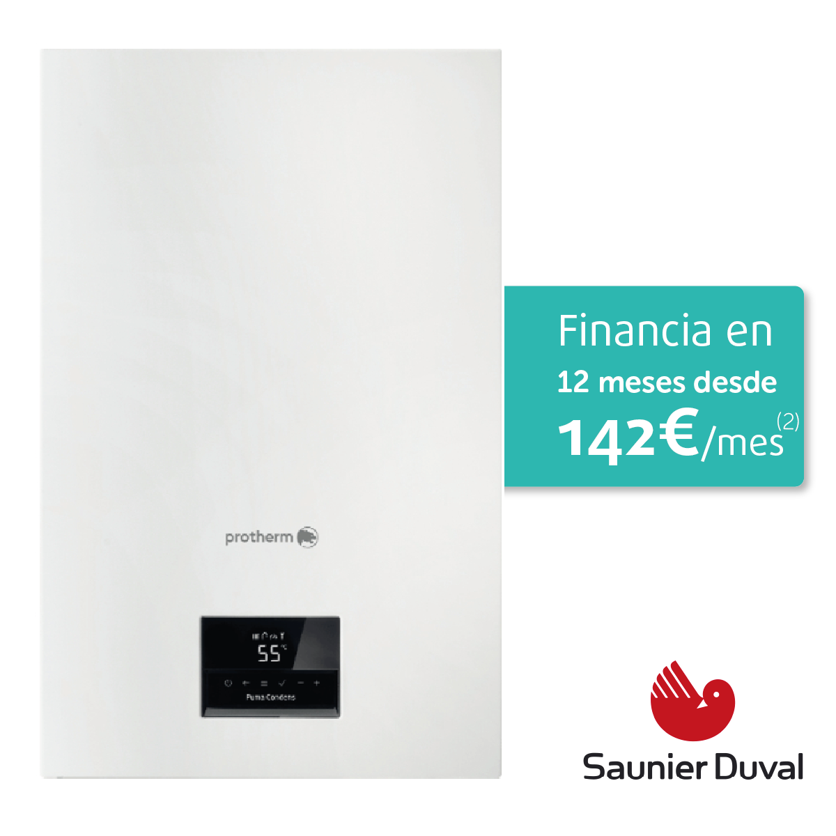 caldera_Saunier-Duval-Thelia-Codens-25